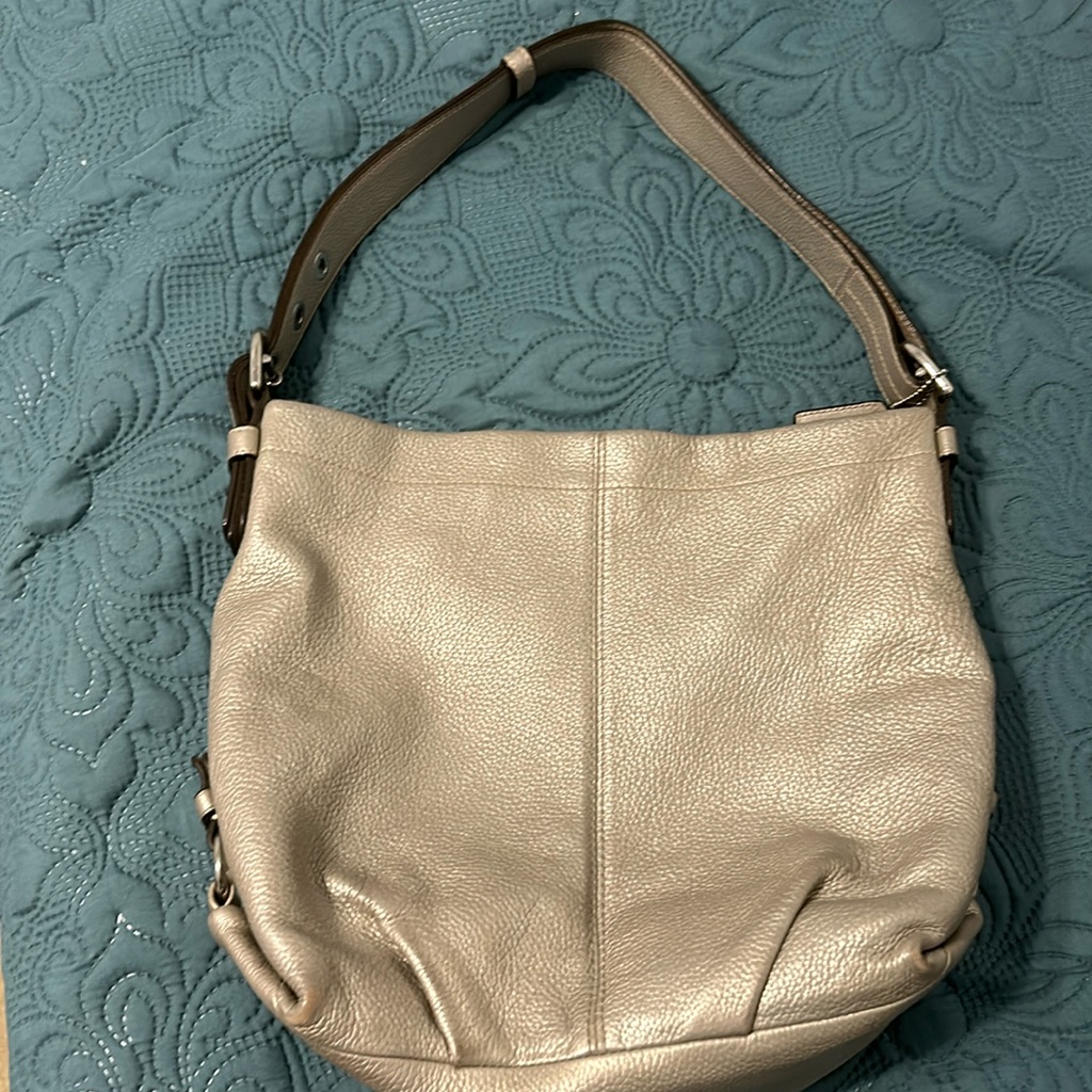 Pewter Leather Coach Purse